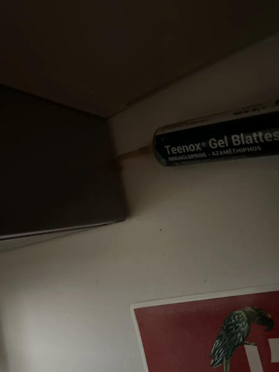 Meuble de rangement contrôlé sans présence de cafards dans l'appartement de Mme P.