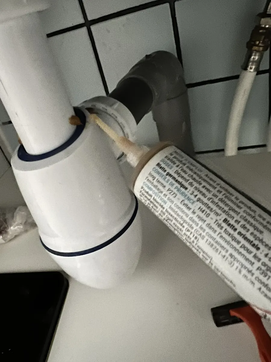 Application d'insecticide derrière un siphon et sur une plinthe carrelée