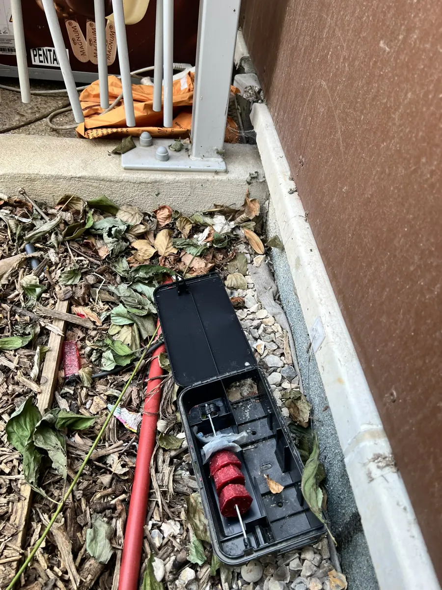 Poste d'appâtage sécurisé installé près de gaines techniques extérieures d'une résidence
