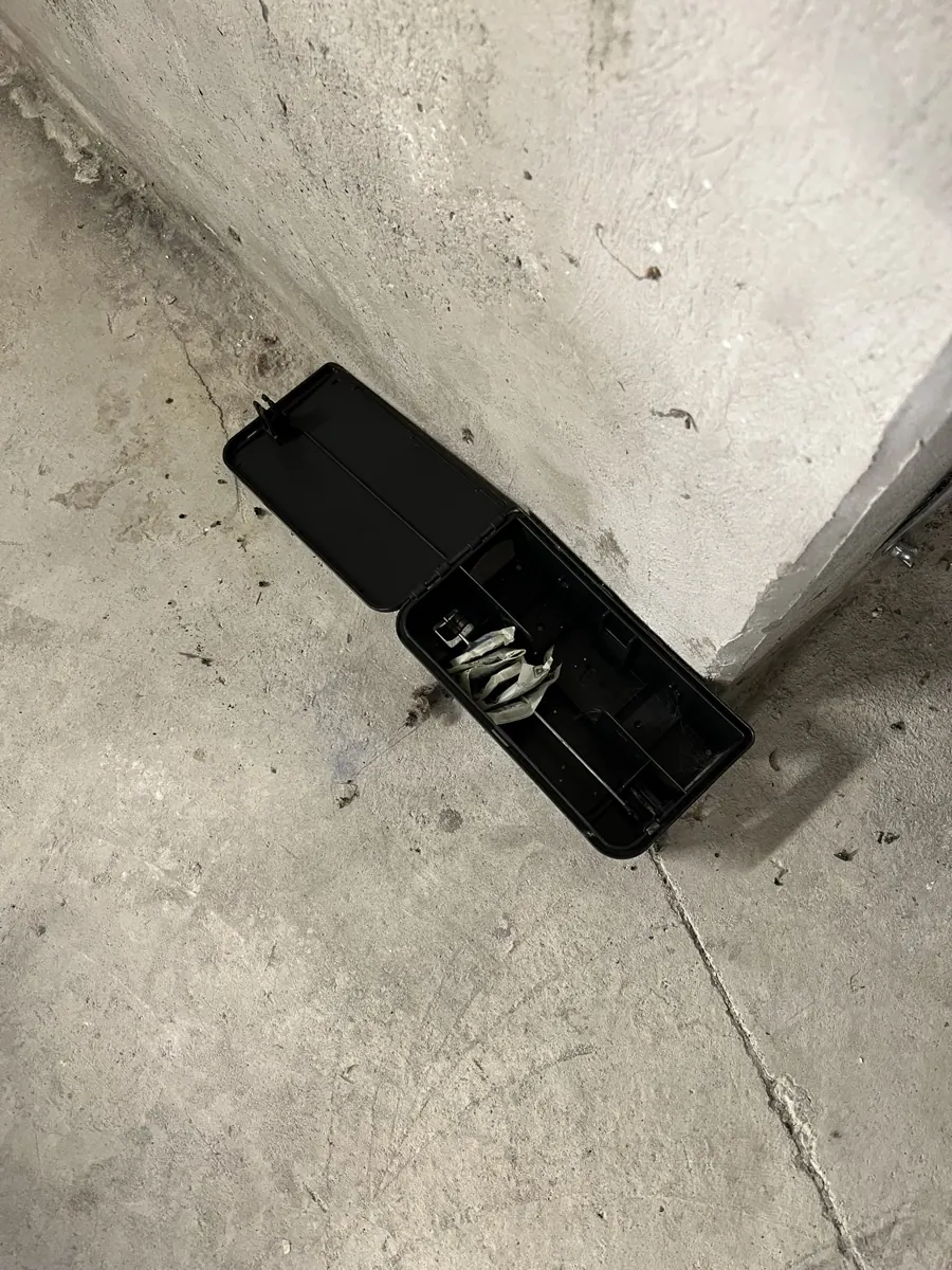 Poste d'appâtage installé en angle de mur dans le sous-sol d'une copropriété