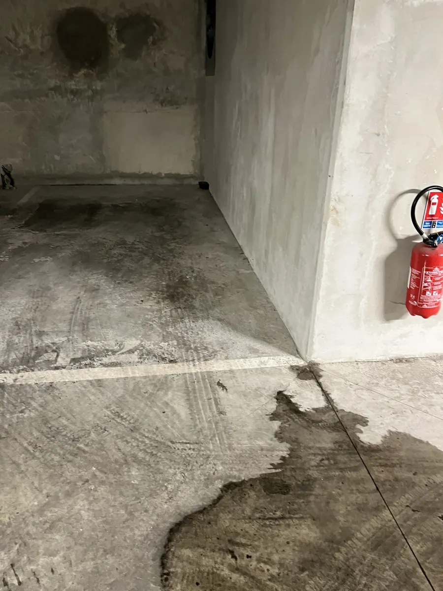Infiltration d'eau et humidité contre un mur de sous-sol attirant les rongeurs