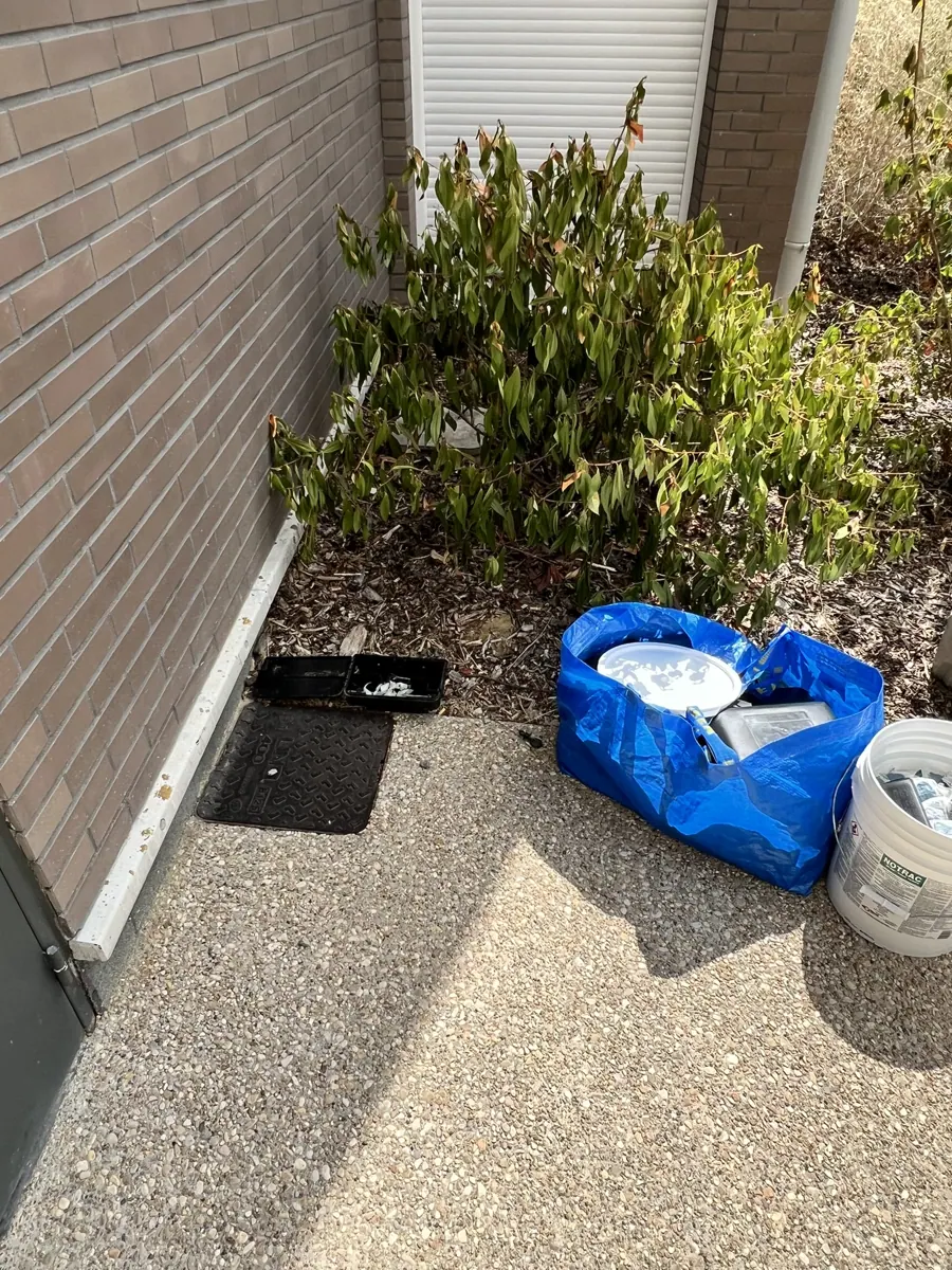 Sacs de déchets déposés au sol contre une façade, source de nourriture pour les rats