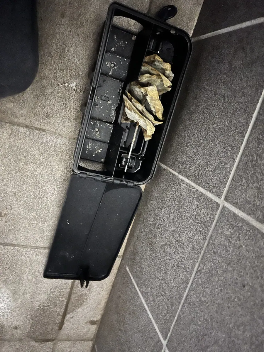 Poste d'appâtage repositionné devant la porte d'un local poubelles après lavages de sol