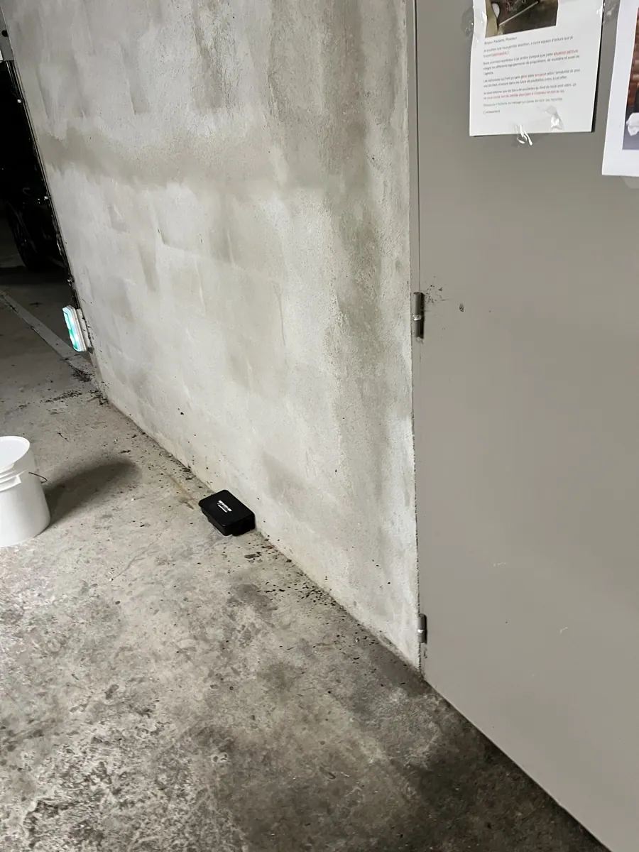Dispositif d'appâtage placé au pied d'une porte sur le trajet des rongeurs