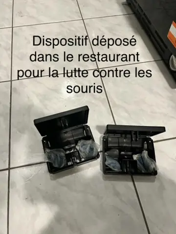 Deux boîtes d'appâtage sécurisées déposées dans un restaurant pour la lutte contre les souris