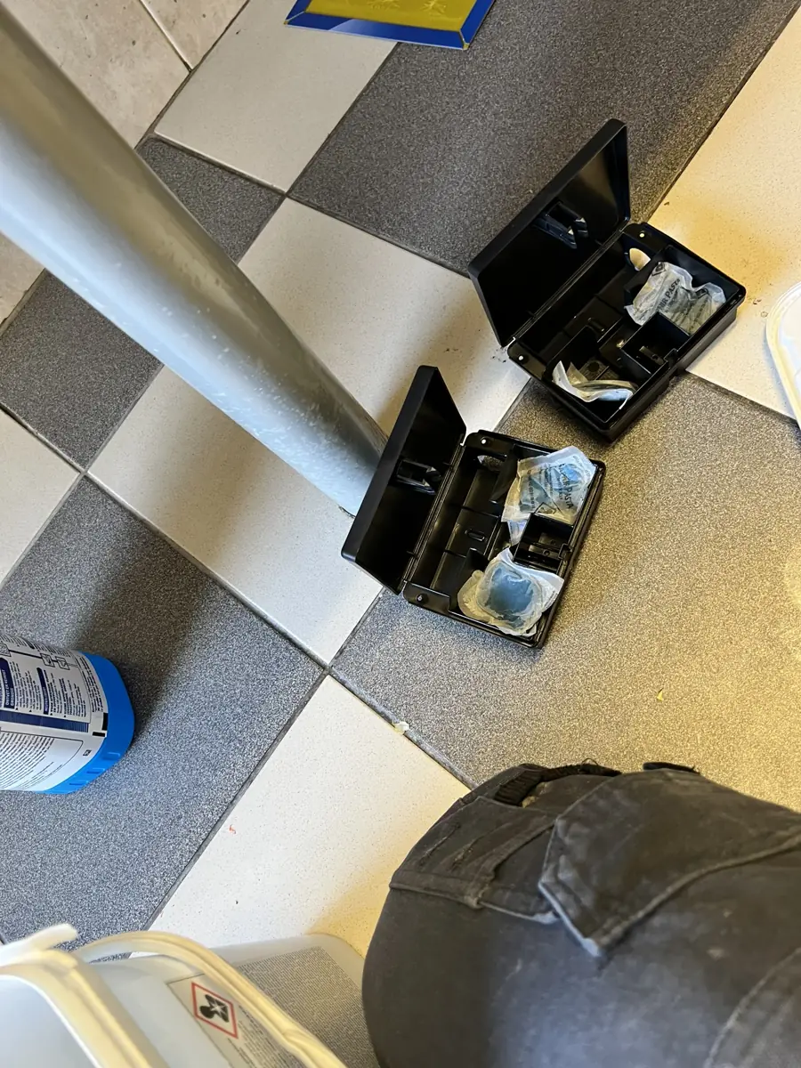Postes d'appâtage ouverts pour contrôle avant rechargement en sachets rodenticides