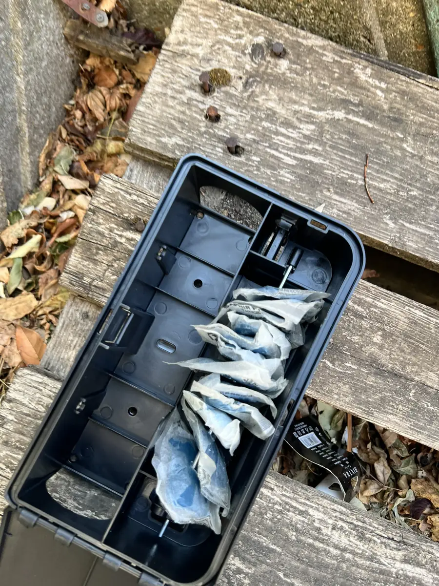 Boîte d'appâtage extérieure rechargée en sachets de pâte rodenticide dans une résidence du 92