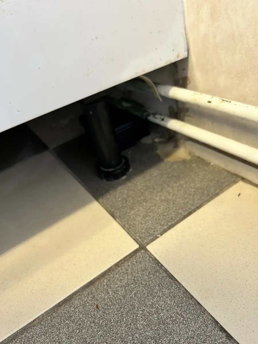 Passage de souris sous un meuble de cuisine le long d'une plinthe en copropriété