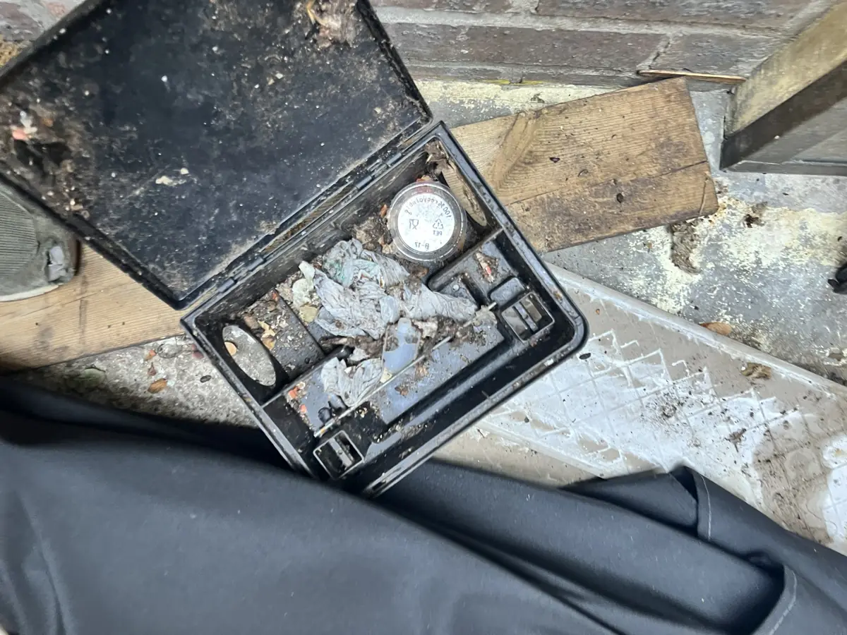 Poste d'appâtage souillé récupéré aux abords d'un restaurant et remplacé